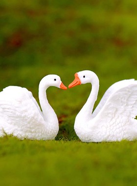 盆栽摄影可爱风园艺蛋糕小动物