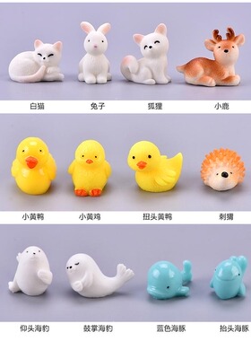 微景观多肉摄影可爱风兔子小动物