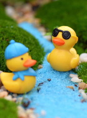 微景观多肉植物摆件可爱旅游小鸭公仔盆栽DIY摄影装饰摆设小道具