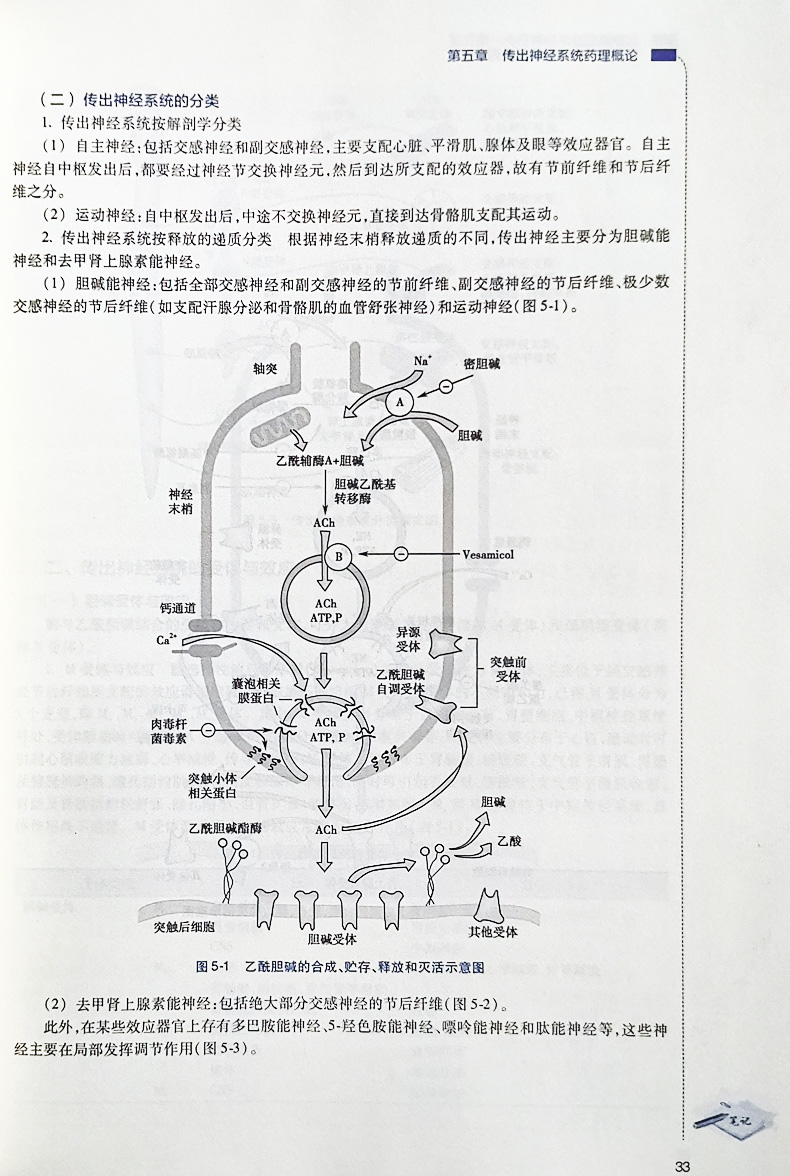 现货正版药理学第8八版王开贞李卫平主编高职高专大专院校供临床医学专业用十三五规划教材人民卫生出版社-图3