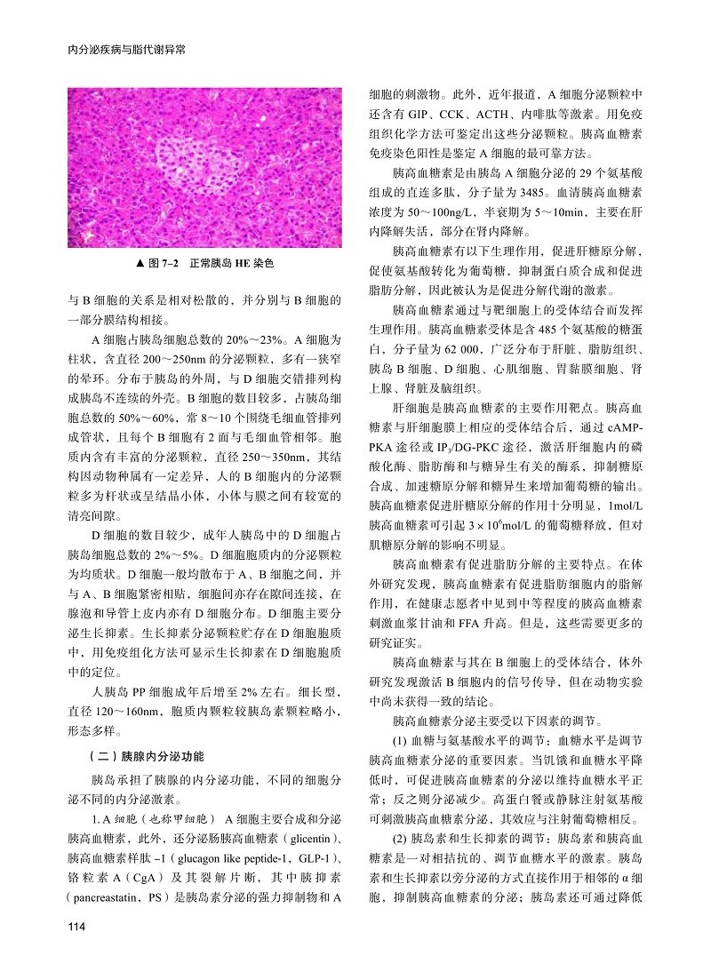 现货 内分泌疾病与脂代谢异常 赵家军 严励 垂体疾病甲状腺疾病肾上腺疾病性发育异常糖尿病肝脏疾病肥胖等 中国科学技术出版社