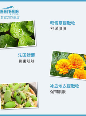 丝维蓝晳焕颜恒妍赋活焕颜洁面膏