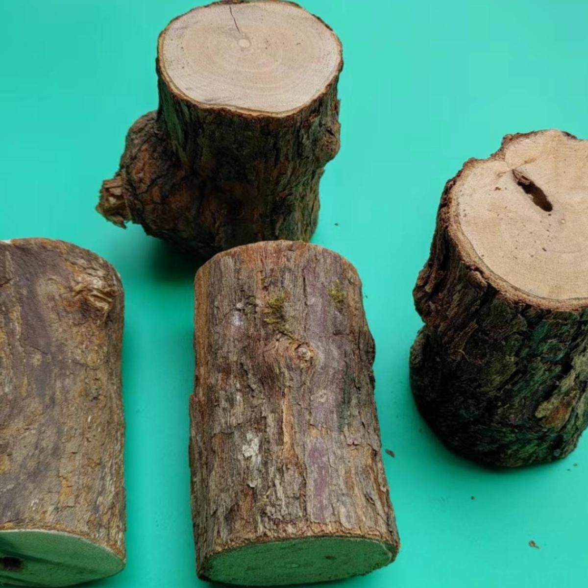 木天蓼磨牙棒猫咪玩具咬咬棒逗猫棒宠物磨牙磨抓安抚心情猫薄荷叶,淘宝优惠券,粉丝福利购,淘宝优惠卷