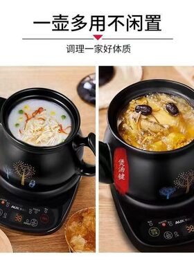 奥克斯煎药壶全自动中药壶电煎壶家用多功能分体式中药熬药砂锅