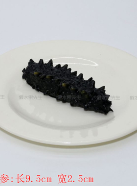 仿真海参三文鱼食品模型拍照道具