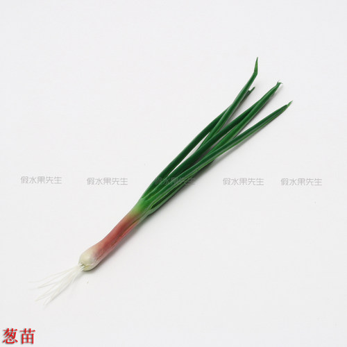 仿真蔬菜假水果食品模型饭店样板房装饰品摄影道具仿真大蒜苗葱苗 - 图2