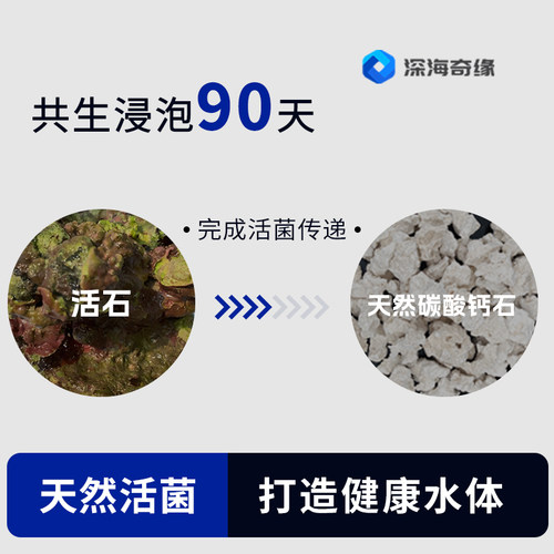 深海奇缘滤材过滤材料活菌石活石引菌石群高效开缸快建立硝化系统 - 图0