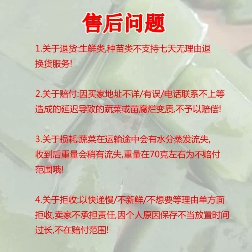 20棵带新鲜自家红薯叶台湾福薯18号新鲜食用地瓜叶番薯叶种苗老茎-图2