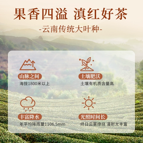 凤牌 Красный (черный) чай из провинции Юньнань, чай Дянь Хун, упаковка