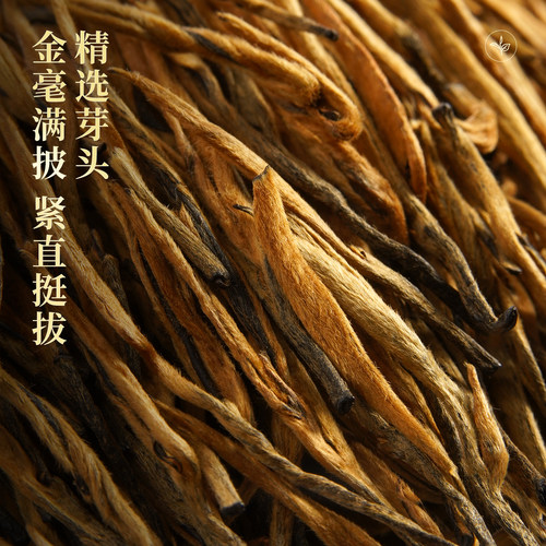 凤牌红茶云南凤庆滇红茶特级金针金芽茶叶罐装60g蜜香型茶 - 图0