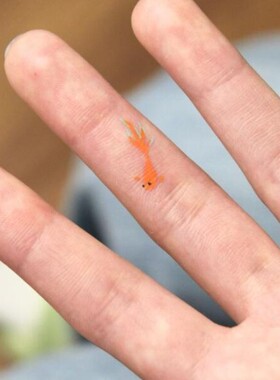 蓝色小锦鲤小鱼纹身贴手臂手腕ins防水甜酷辣妹贴纸