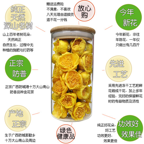 金花茶正宗广西防城港十万大山野防普金花茶冻干花花朵厂家直营 - 图3
