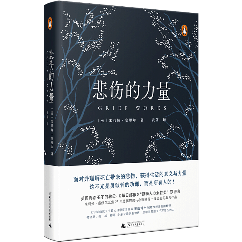 悲伤的力量朱莉娅塞缪尔著英国乔治王子的教母汇集悲伤咨询案例在你独自渡过生命的暗夜风暴时给你光亮心理学书籍正版-图1