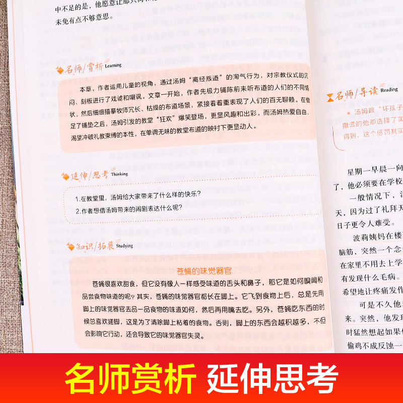 汤姆索亚历险记正版六年级小学版原著完整版无删减人民6年级必读马克吐温文学小说青少年全套教育读物汤姆.索亚历险记开明出版社 - 图2