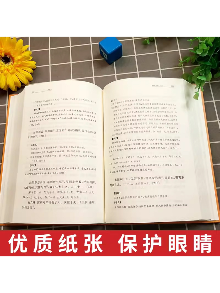 伤寒论 张仲景 精版经典名著全本全注全译中华经典名著丛书中华书局中医养生基础理论书籍大全医学全书知识 医学自学入门零基础 - 图1