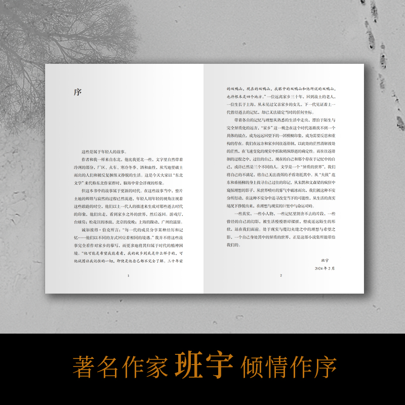 现货速发 沉默时请大声朗读情书 梁彦增S部短篇小说集 以冷峻而荒诞的笔触 从世界喷吐的雾气中破冰而出 开启东北文学新浪潮畅销书 - 图1