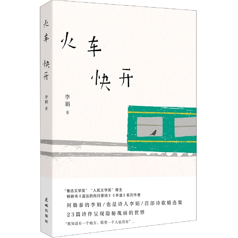 火车快开 李娟现代诗精选集 遥远的向日葵地我的阿勒泰记一忘三 - 图0