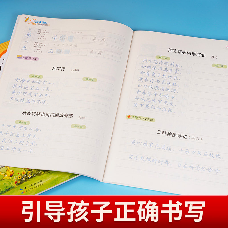 2024春小学语文同步写字课练字帖一1二2三年级3四4五5六6年级下册全彩人教版字酷天下 小学生课本同步生字词句子硬币描红书写字帖