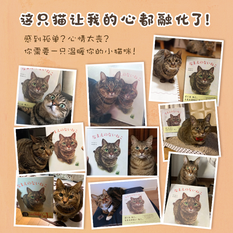 寻找自己名字的猫温馨感动睡前故事绘本MOE绘本书店大奖竹下文子猫宠物亲情爱归属感自我认同疗愈儿童读物童书绘本图画书少儿-图1