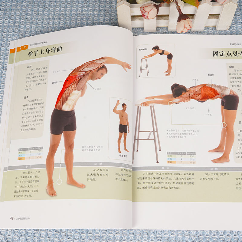 拉伸训练彩色图谱 100种拉伸练习 远离肌肉损伤 快速有效改善身体柔韧性 肌肉健美训练图解拉伸训练书籍 健身书籍练肌肉博库网 - 图0
