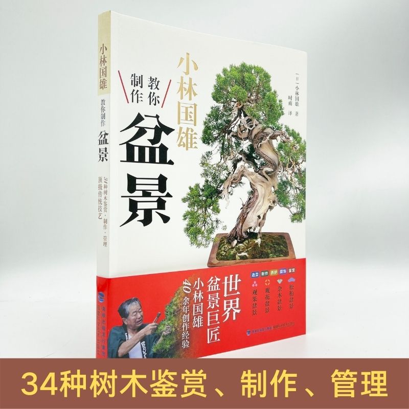 小林国雄教你制作盆景 盆景制作书籍 附石盆景制作与养护技巧鉴赏制作管理养花树木盆景造型设计栽培修剪技艺家庭园艺书正版博库网 - 图0