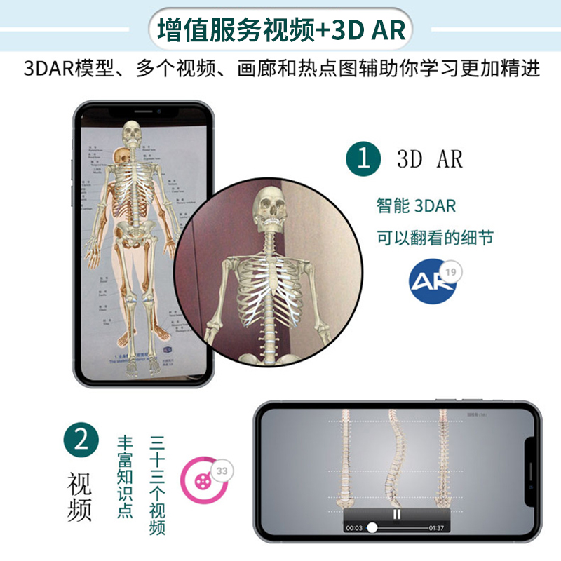 人体解剖彩色学图谱 第三版第3版新版郭光文3D搭奈特医用医学生解剖书外科全彩局部系统实用解剖彩绘本科大学教材二版升级人民卫生 - 图2