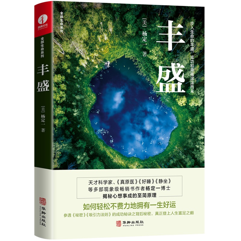 杨定一丰盛 博库网 揭露心想事成背后的秘密 《静坐》《真原医》作者新作 步入生命的丰盛 自我实现励志类书籍 现货 - 图0