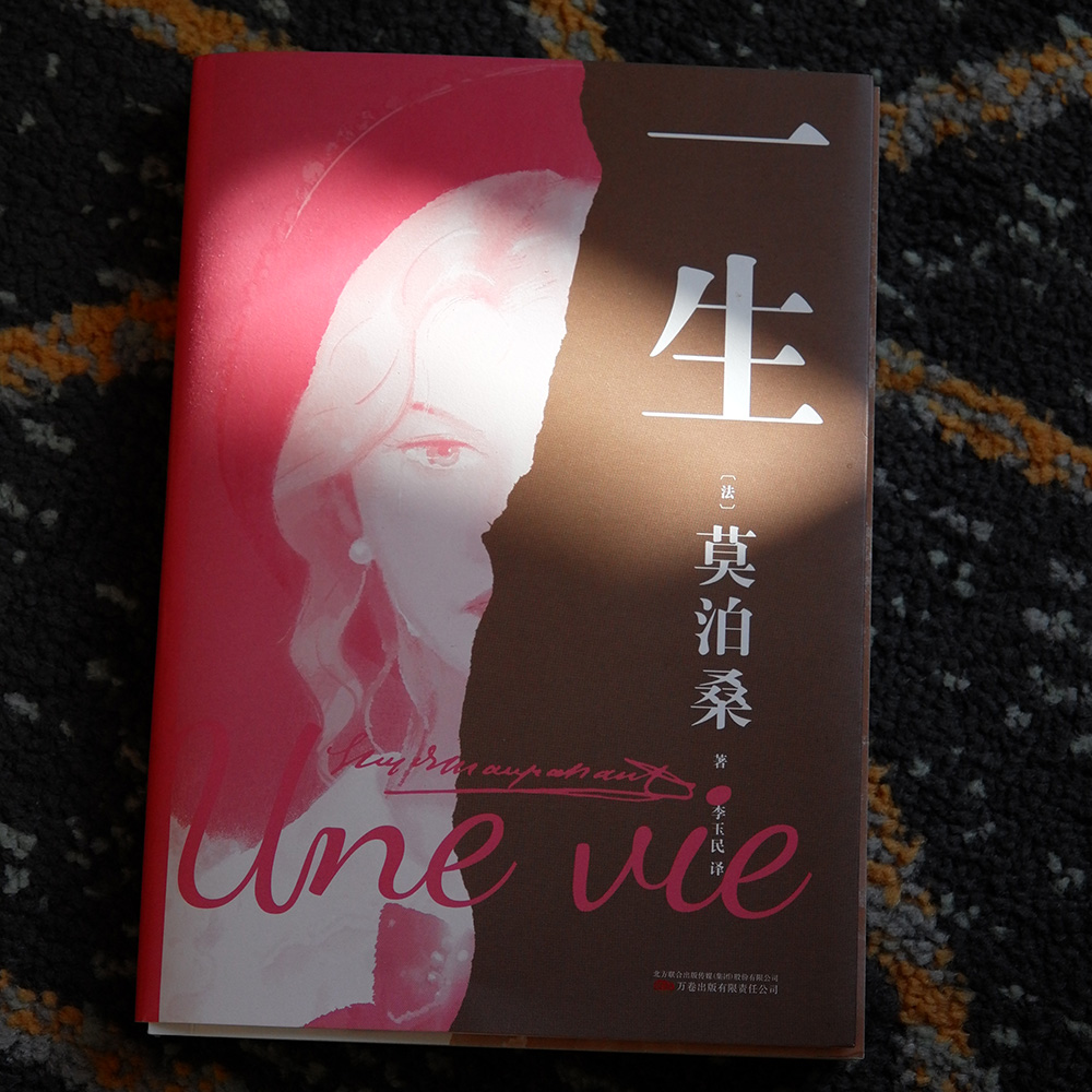 一生 莫泊桑长篇小说 人这一生 既不像想的那么好 也不像想的那么坏 每一个人的脆弱与坚强 都超乎自己的想 畅销书籍 正版 - 图1