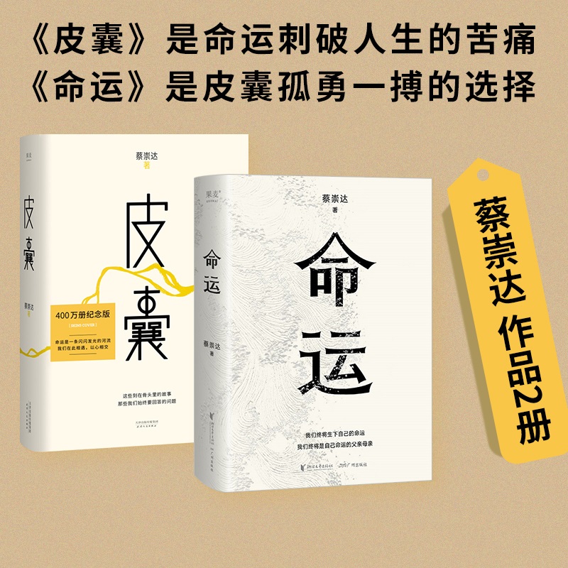 官方正版 全2册 皮囊+命运 蔡崇达2022新书 暌违八年长篇小说 400万读者翘首以盼 讲述闽南沿海小镇几代人的人生故事现当代文学书 - 图0