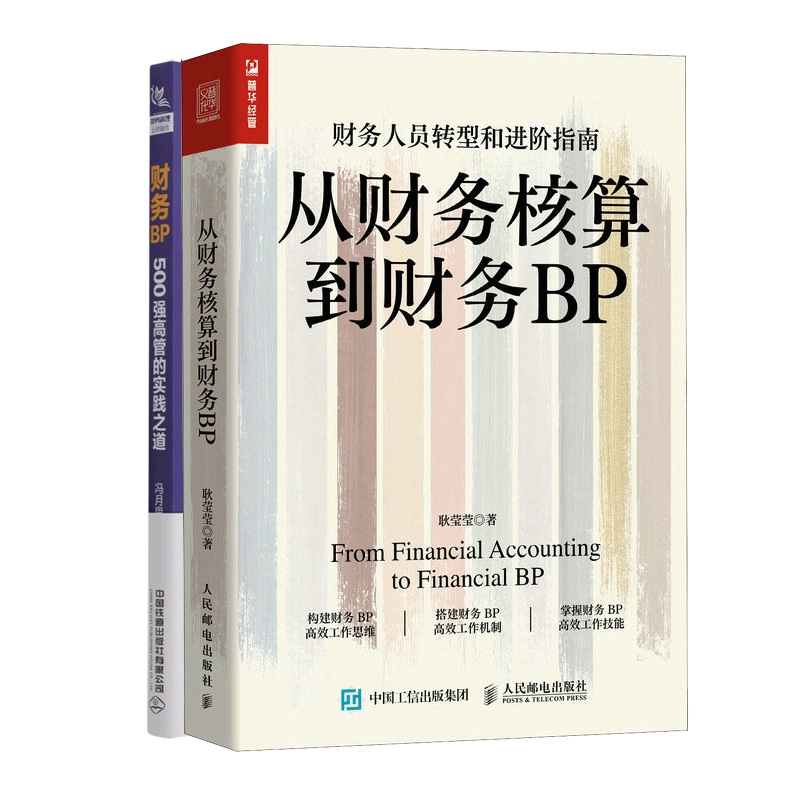 【财务BP2册】财务BP 500强高管实践之道+从财务核算到财务BP财务人员转型和进阶之道 高效构建财务BP 企业管理进阶 - 图0