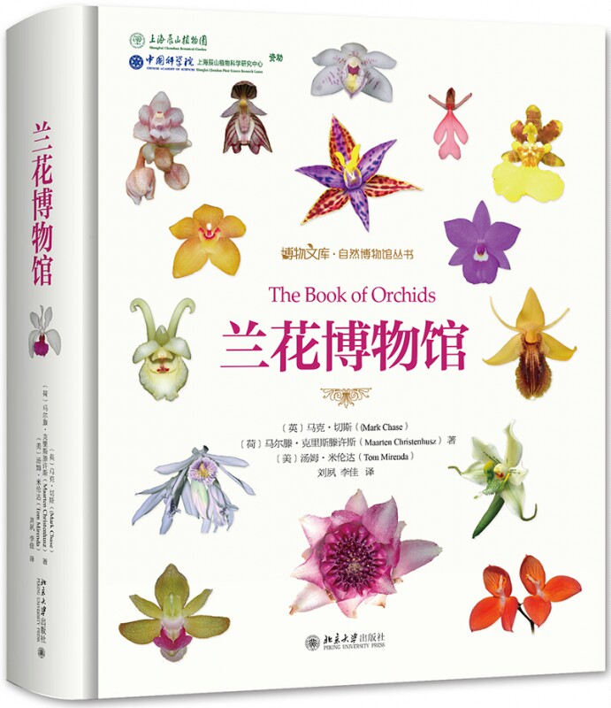 兰花博物馆 自然博物馆丛书 (英)马克·切斯(荷)马尔滕·克里斯滕许斯 汤姆·米伦达 动物植物等种类分类及生命科学研究知识书博库