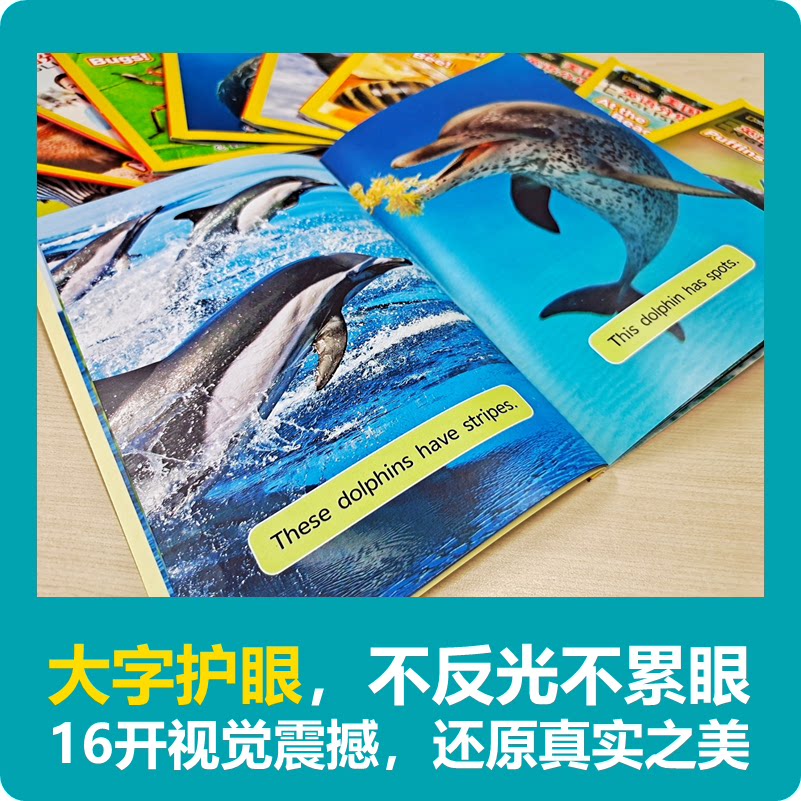 【点读版】美国 地理英语分级读物 第1级全套30册 儿童英语分级阅读 级 ket单词训练营小升初 点读笔英语词汇语法通用小学课外书籍