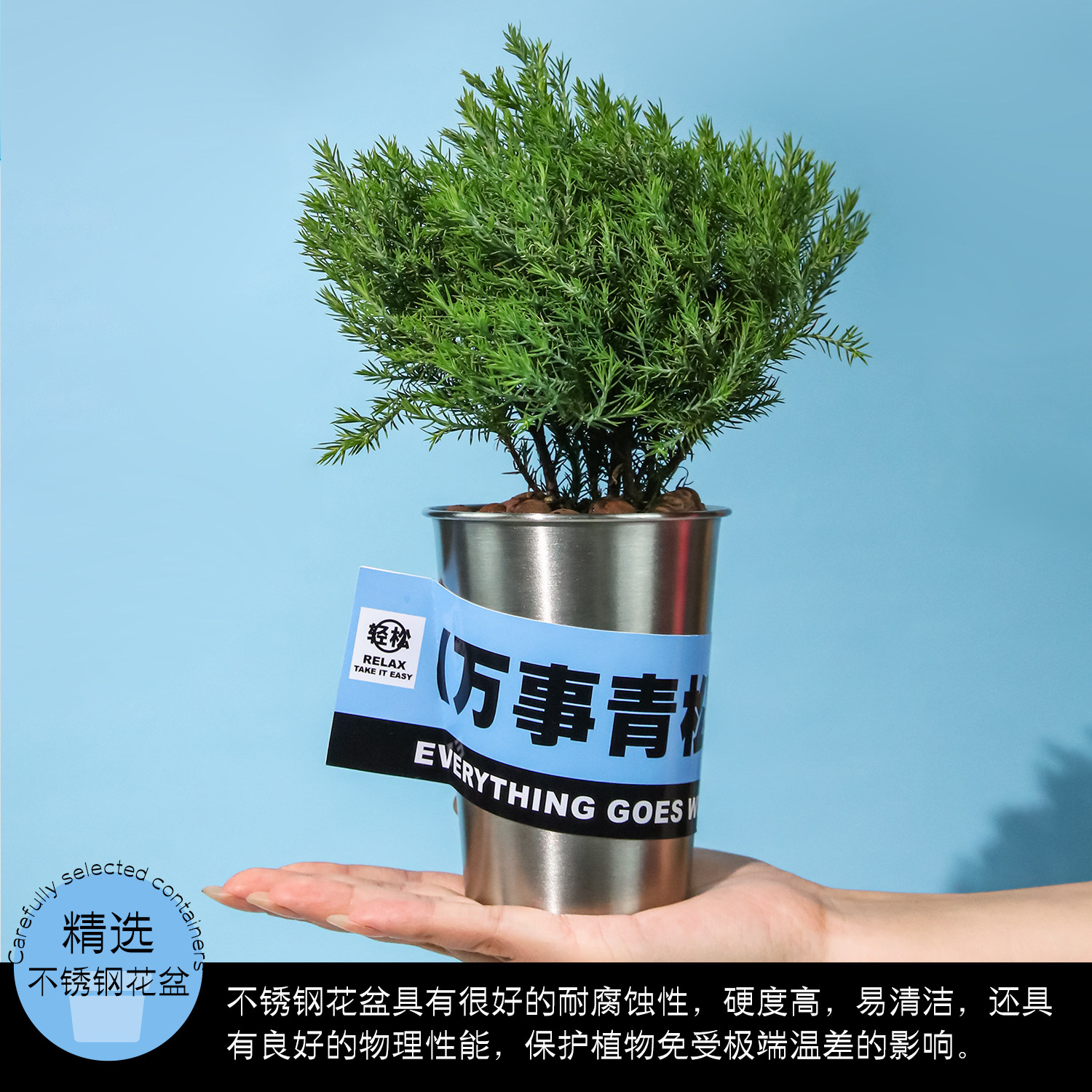 涂鸦造物 x 博库 放青松创意雾凇植物盆栽办公室桌面绿植摆件礼物,淘宝优惠券,粉丝福利购,淘宝优惠卷