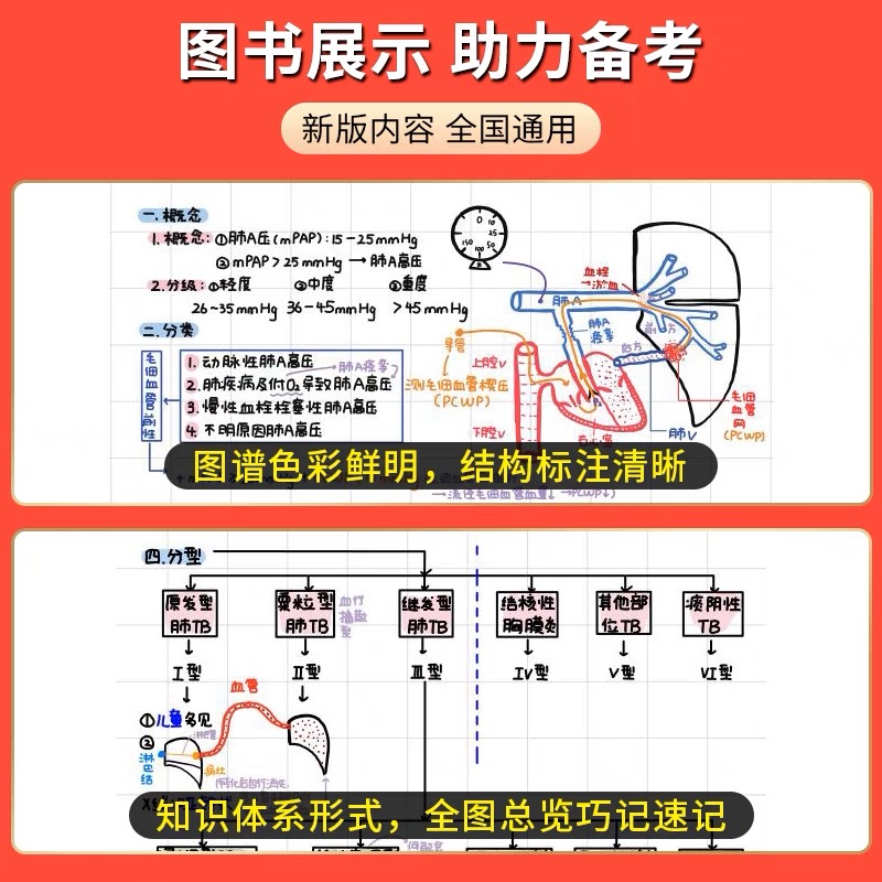 昭昭手绘笔记 昭昭执业医师2023年国家临床执业及助理医师资格考试执业及助理职业医师执医笔试重难点背诵历年真题 昭昭手绘笔记 - 图3