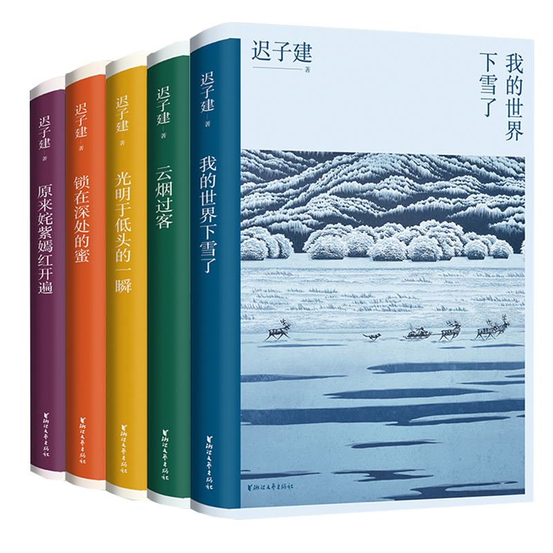 官方正版】礼盒装 迟子建散文典藏集套装5册茅盾文学奖得主迟子建散文自选集我的世界下雪了原来姹紫嫣红开遍冰心初高中阅读书籍 - 图3