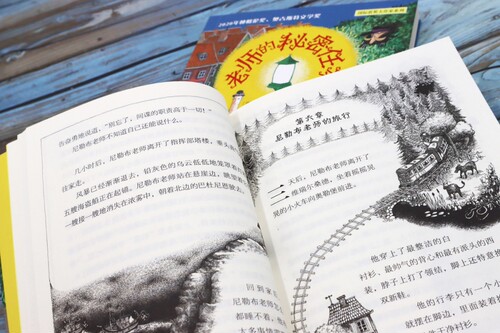 老师的秘密任务/ 获奖大作家系列插图版 小学生课外阅读书籍外国儿童文学读物三四五六年级课外书青少年读物8-10-12周岁正版 - 图3