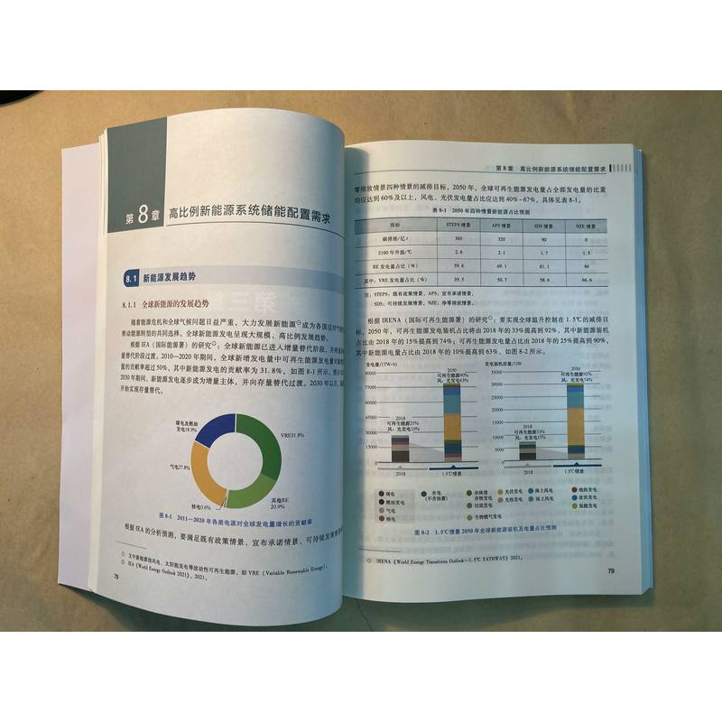 基于典型场景的新型储能适用技术及运营机制李琼慧何永胜时智勇大容量关键指标选取经济特性系统性能需求-图3