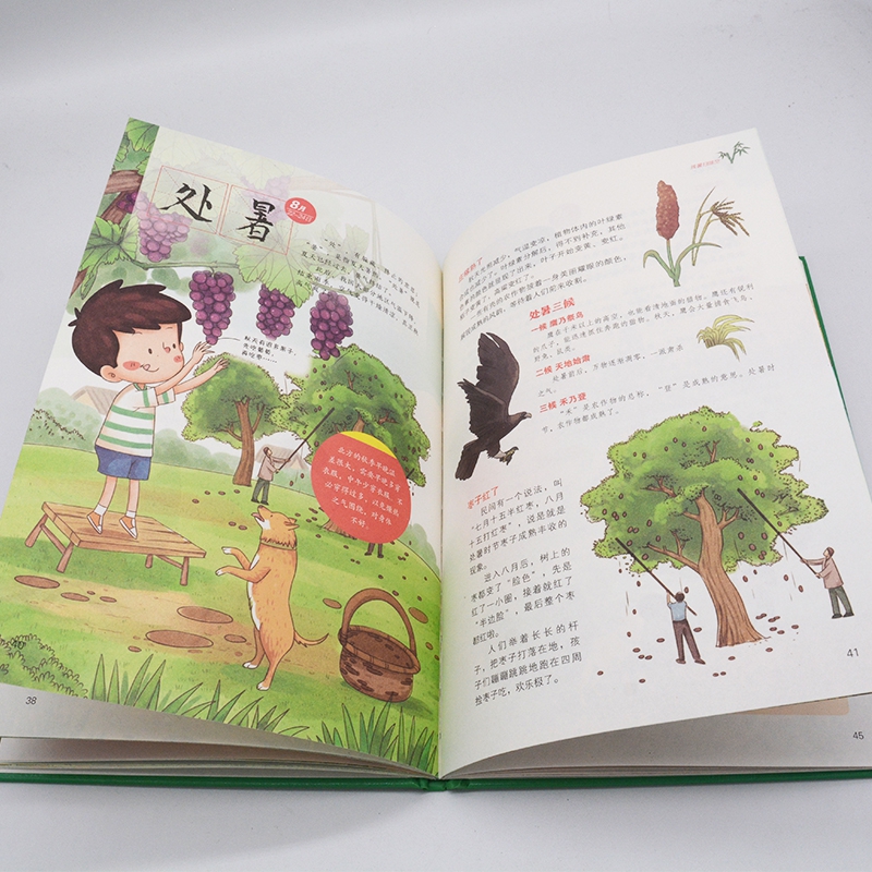 画给孩子的二十四节气中国民俗文化书 3-6岁儿童自然科普故事绘本 - 图2