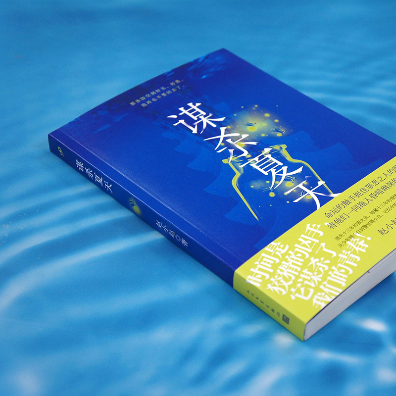 谋杀夏天 赵小赵猎罪者系列 载于文学《收获》杂志的社会派推理悬疑小说力作 三次复仇的 谋杀 洞见人性的光明与黑暗 - 图2