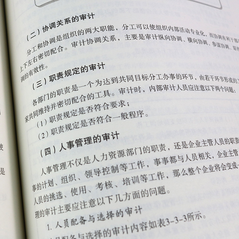 企业内部审计全流程指南中小企业内部审计实务企业绩效审计企业管理书会计审计教程书内审员参考手册企业内部审计学习书籍-图2