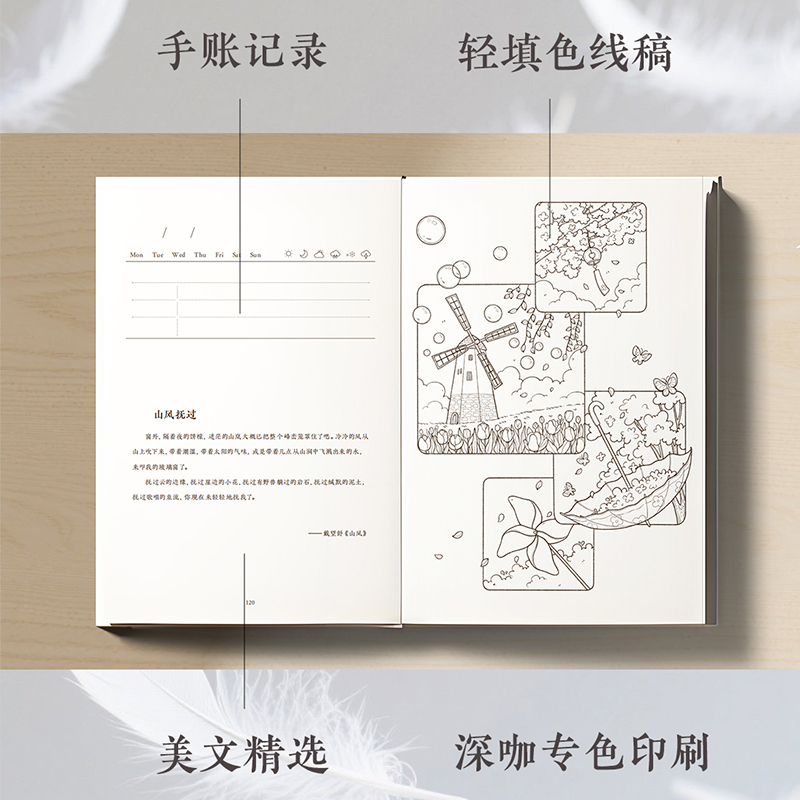 【赠刮刮卡+贴纸+书签尺+风琴页+收纳卡】唯美生活 一本静心减压的轻填色书 以生活场景类线稿填色为主 包含名家诗文的轻填色书籍 - 图2