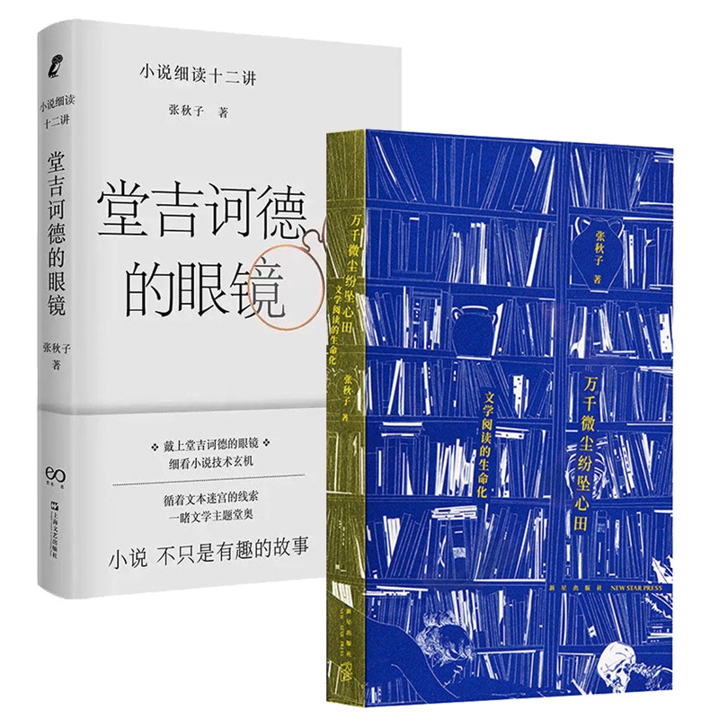 官方正版 张秋子作品2册 万千微尘纷坠心田：文学阅读的生命化+堂吉诃德的眼镜——小说细读十二讲 文学理论评论与研究书籍 - 图3