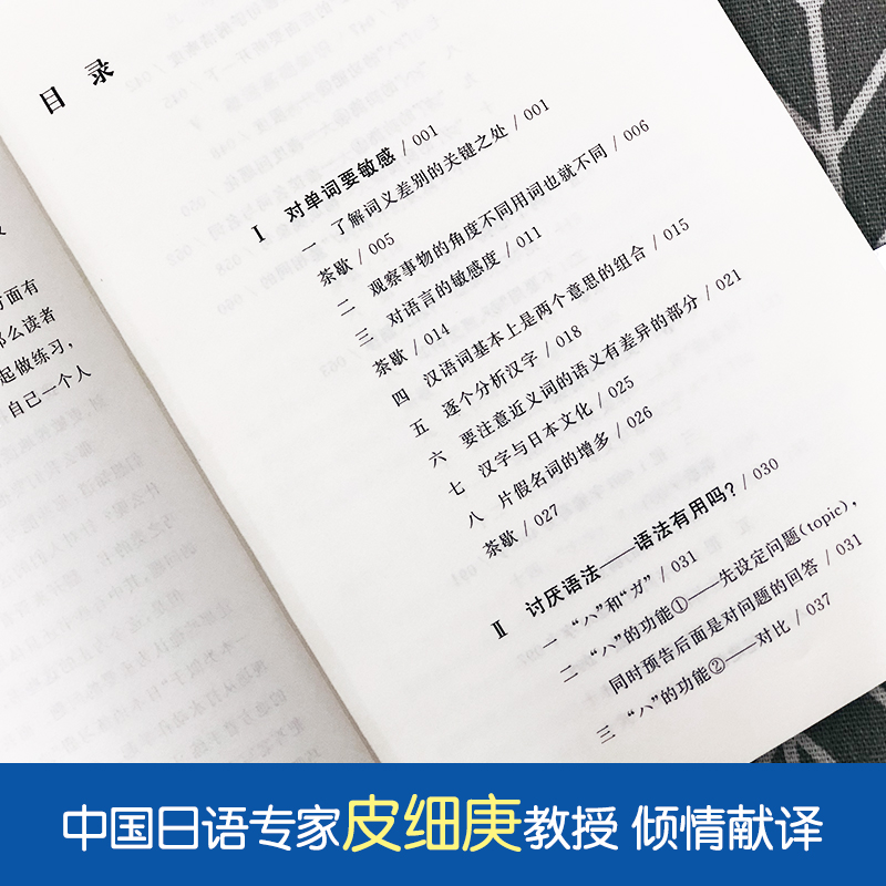 日语读写45问皮细庚译原版引进日语读写能力日本语读写教程日语学习教材日语读写训练练习题日语教程日语单词语法词汇日语写作-图1