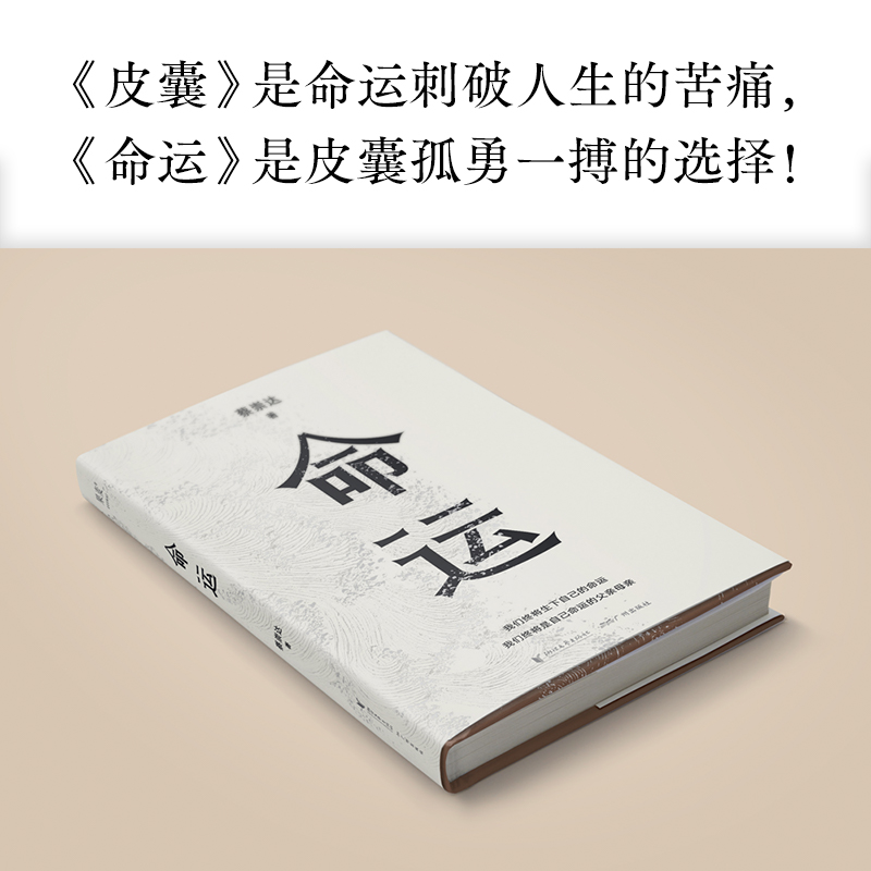 官方正版 全2册 皮囊+命运 蔡崇达2022新书 暌违八年长篇小说 400万读者翘首以盼 讲述闽南沿海小镇几代人的人生故事现当代文学书 - 图2