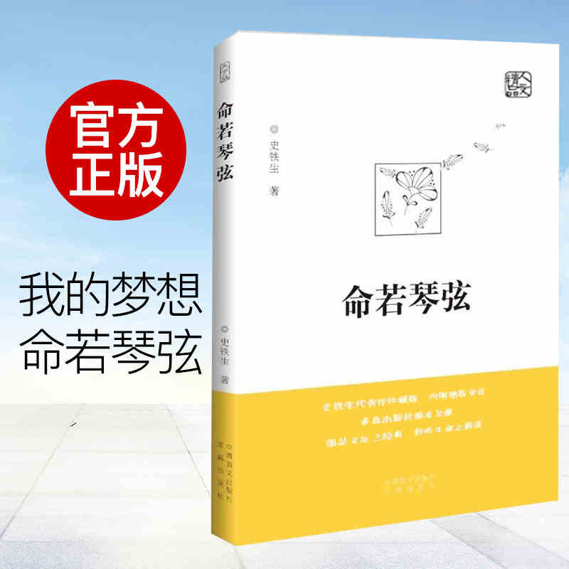 正版包邮 史铁生作品精选全套4册 务虚笔记+我与地坛+病隙碎笔+命若琴弦 合欢树史铁生文学散文随笔励志畅销书籍排行榜人民文学 - 图1