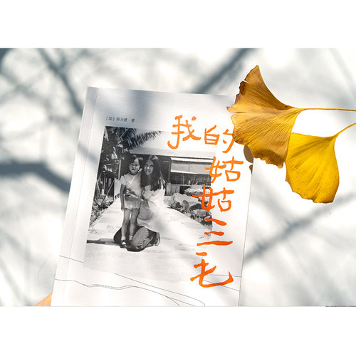 正版 我的姑姑三毛 陈天慈著 三毛家族认证的三毛传 收录不为外人所知的秘辛和趣事以及未公开的珍贵照片 名人传记书籍 - 图0