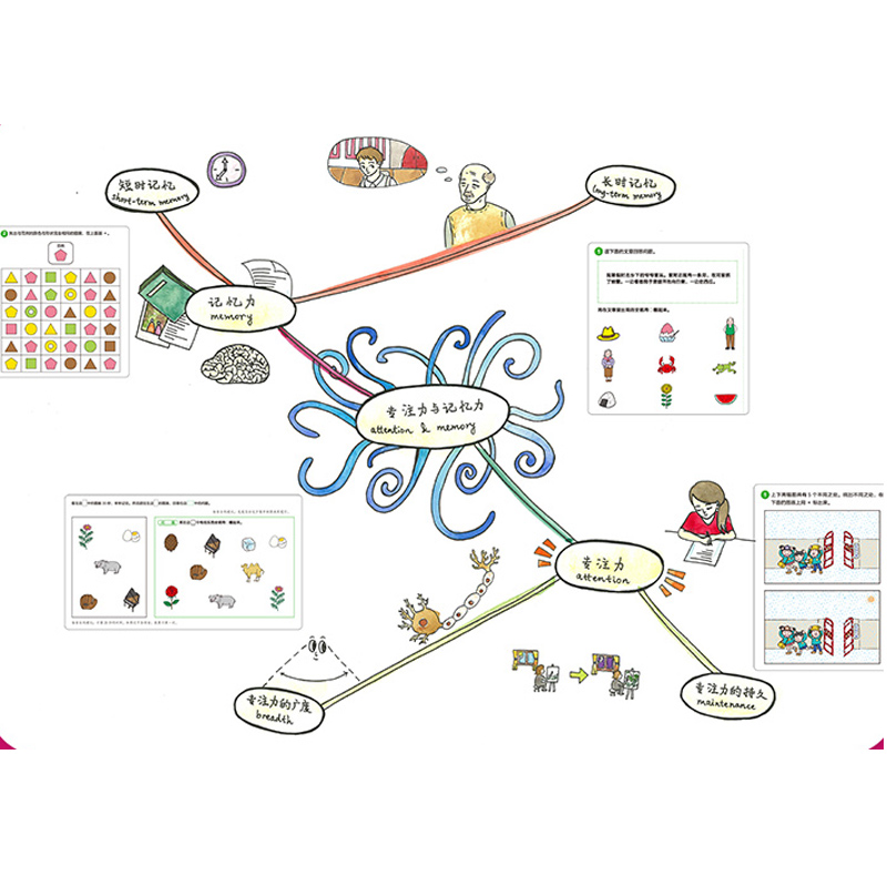 七田真全脑开发练习册全套全6册 3-4岁儿童专注力与记忆力数学与逻辑思维幼小衔接幼升小学前班教材书籍思维训练儿童左右脑开发 - 图3
