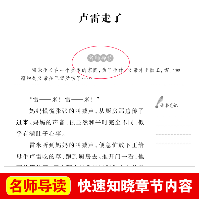 正版苦儿流浪记正版小学生四五六年级课外书必读班主任阅读人教版天地出版社人民文学畅销的原版图书语文书目四年级必读书-图1