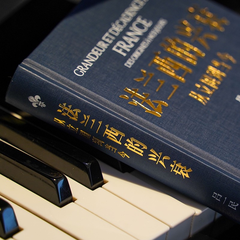 法兰西的兴衰(从立国到当今)(精) 吕一民 著 世界通史 历史类书籍 浙江人民出版社 博库网 - 图2