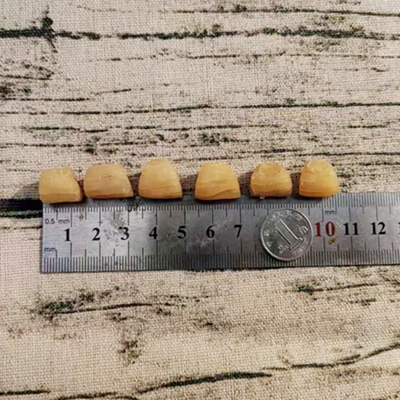 北海淡晒干贝瑶柱元贝大扇贝柱丁特产海鲜瑶柱干货特产宝辅食500g - 图2